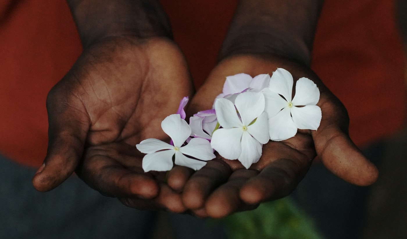 Zanzibar Experts Gros plan sur une personne qui met des fleurs dans ses palmiers